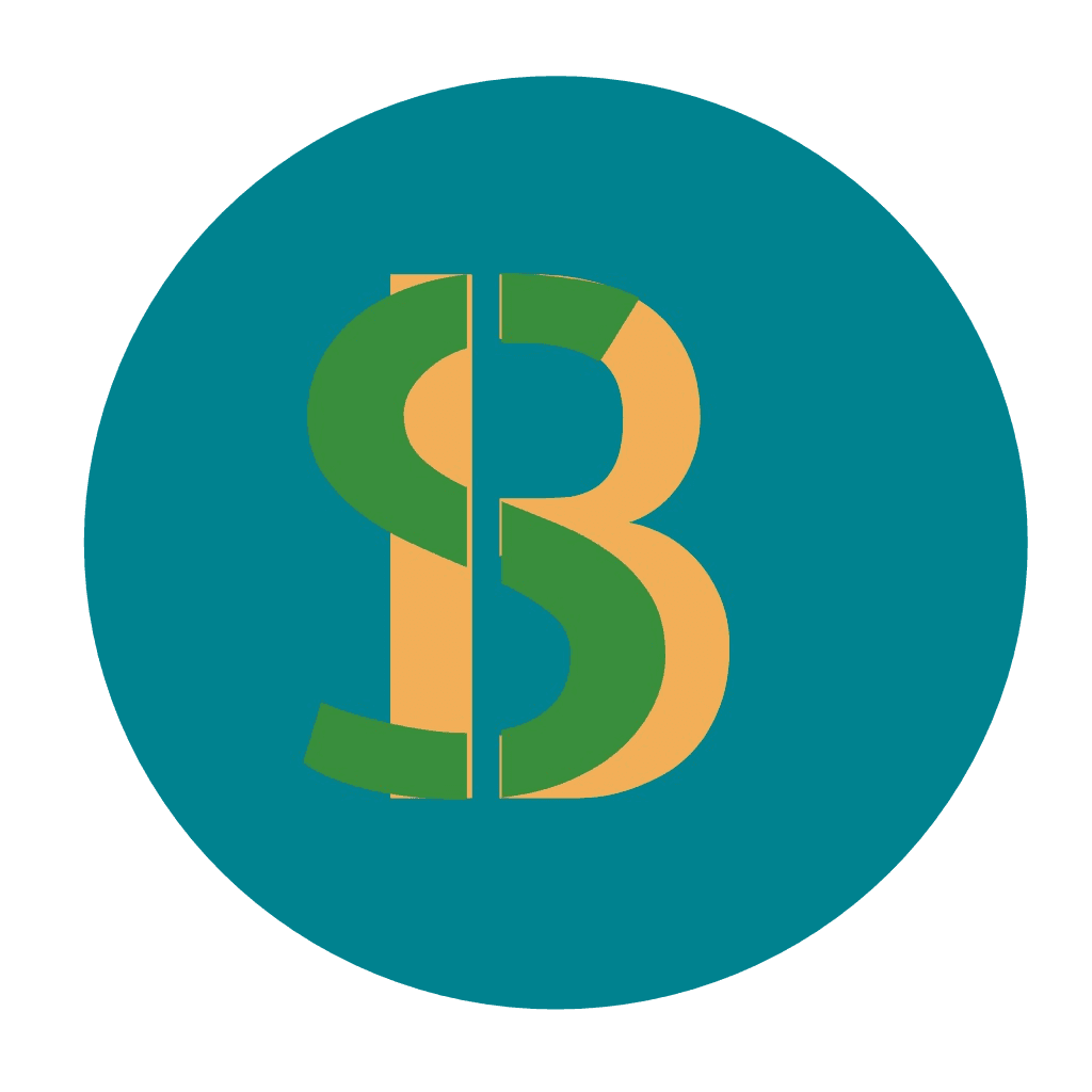 Bingwah Systems Logo